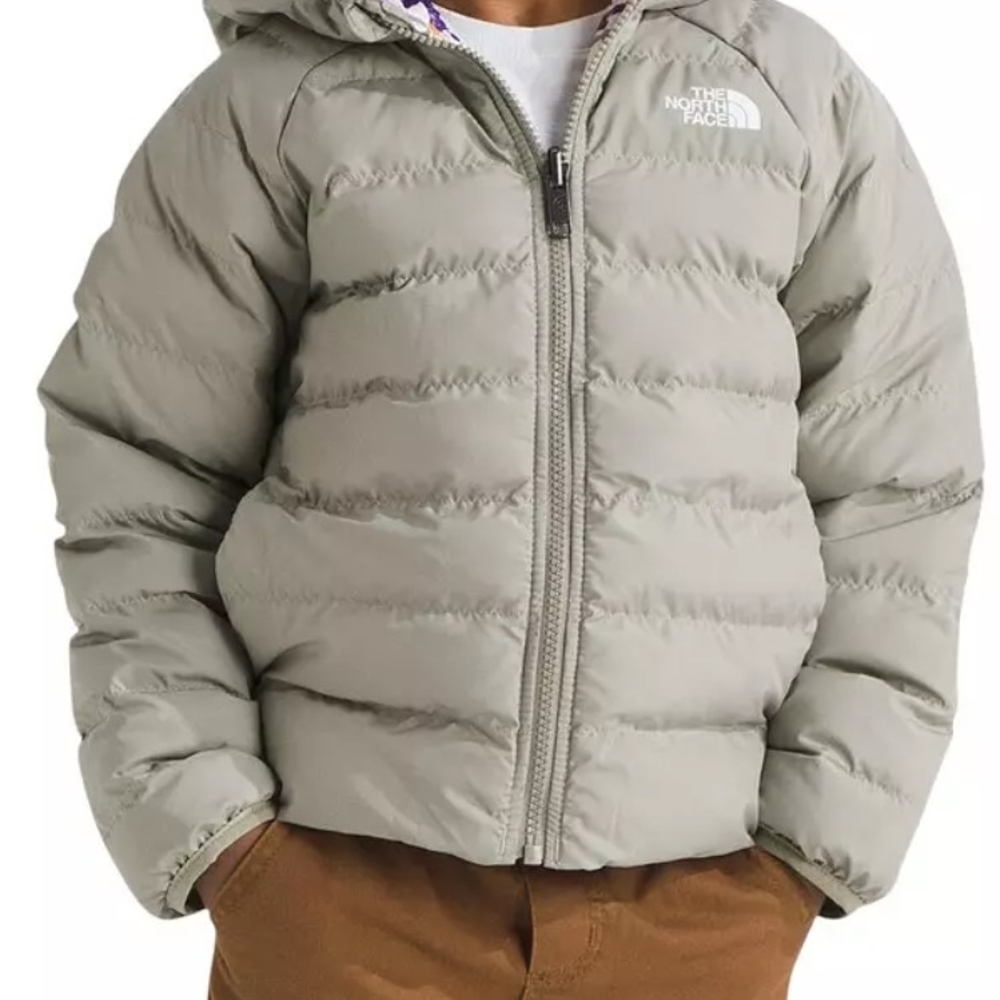 The North Face Gray Puffer Jacket
